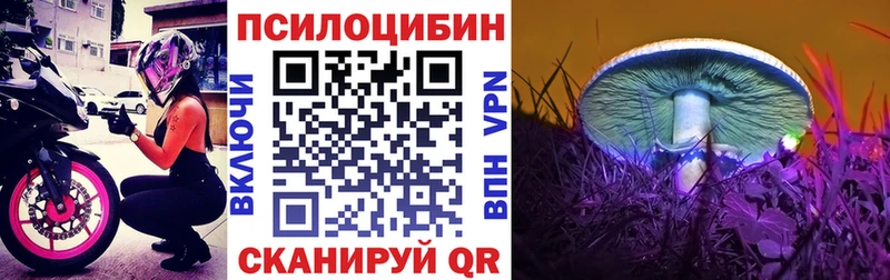 Псилоцибиновые грибы Cubensis  где продают   blacksprut ССЫЛКА  Железногорск-Илимский 
