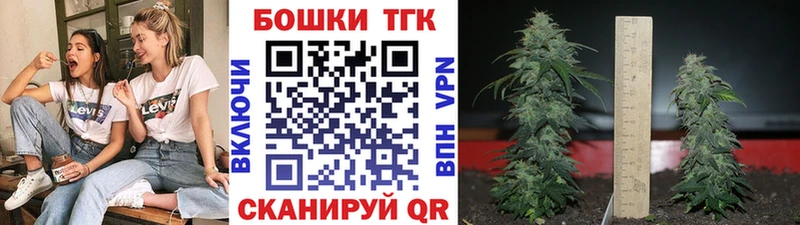 сколько стоит  Железногорск-Илимский  Бошки Шишки планчик 